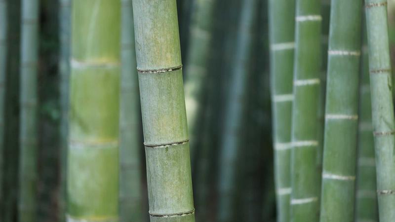 SPRIBE游戏FC电游平台英雄图